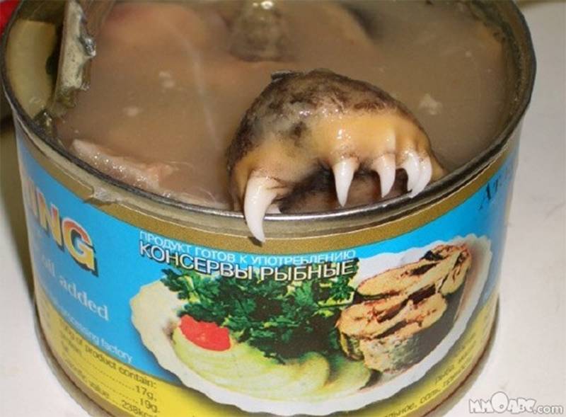 Franksemails Mmmm Fish Assholes 